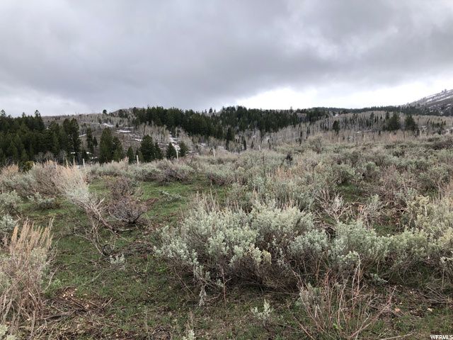 1354 STAUFFER CANYON RD, Montpelier, ID 83254