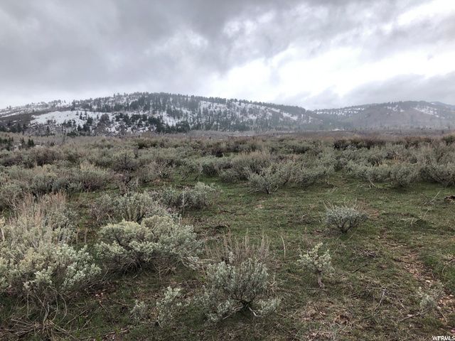 1354 STAUFFER CANYON RD, Montpelier, ID 83254