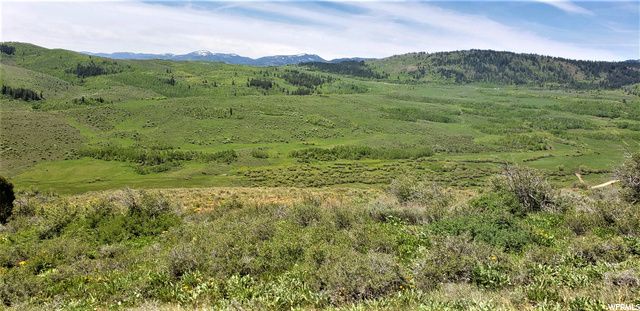 1354 STAUFFER CANYON RD, Montpelier, ID 83254