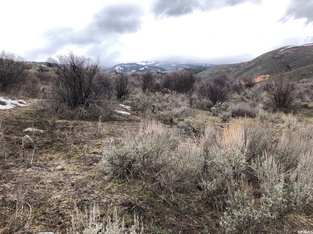 1354 STAUFFER CANYON RD, Montpelier, ID 83254