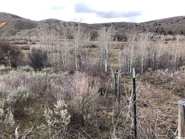 1354 STAUFFER CANYON RD, Montpelier, ID 83254