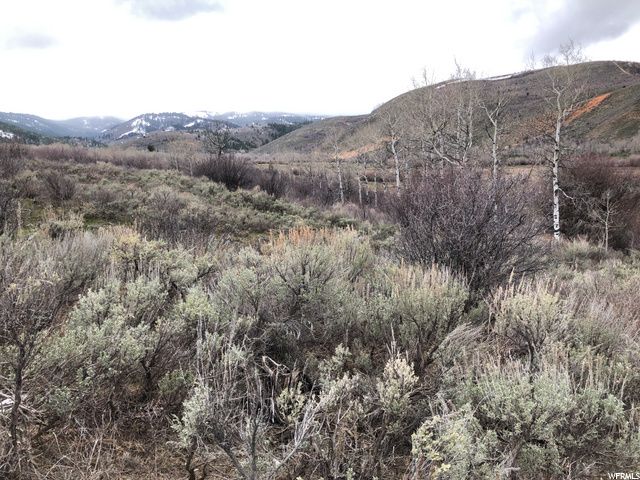 1354 STAUFFER CANYON RD, Montpelier, ID 83254