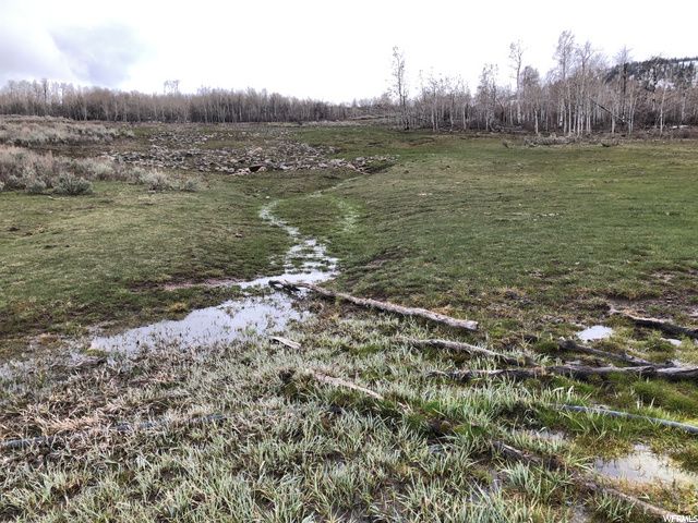 1354 STAUFFER CANYON RD, Montpelier, ID 83254