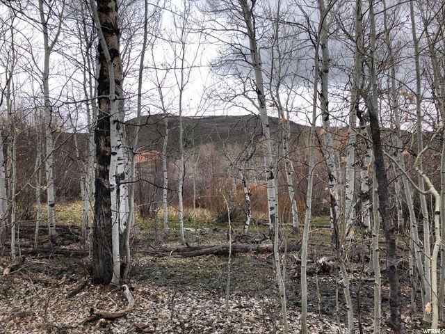 1354 STAUFFER CANYON RD, Montpelier, ID 83254