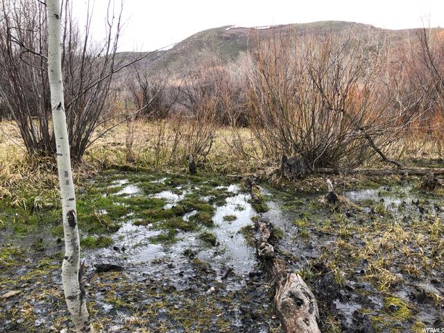 1354 STAUFFER CANYON RD, Montpelier, ID 83254