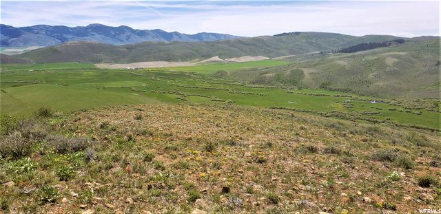 1354 STAUFFER CANYON RD, Montpelier, ID 83254