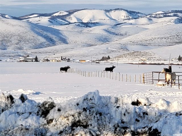 1354 STAUFFER CANYON RD, Montpelier, ID 83254