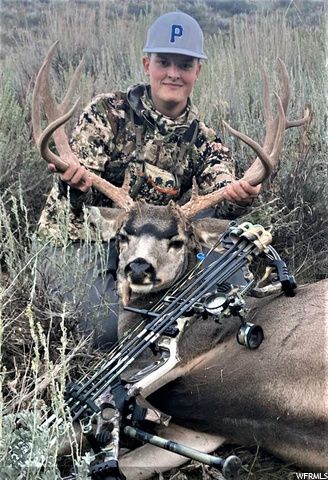 1354 STAUFFER CANYON RD, Montpelier, ID 83254