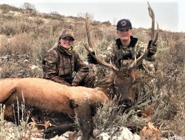 1354 STAUFFER CANYON RD, Montpelier, ID 83254