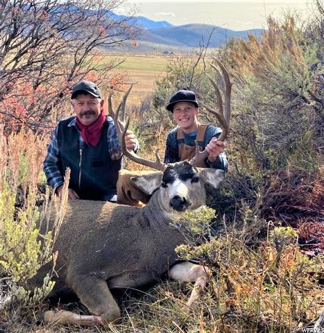 1354 STAUFFER CANYON RD, Montpelier, ID 83254