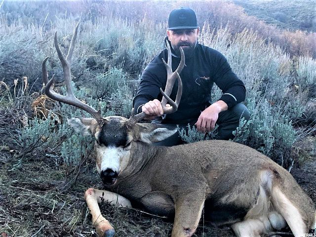 1354 STAUFFER CANYON RD, Montpelier, ID 83254