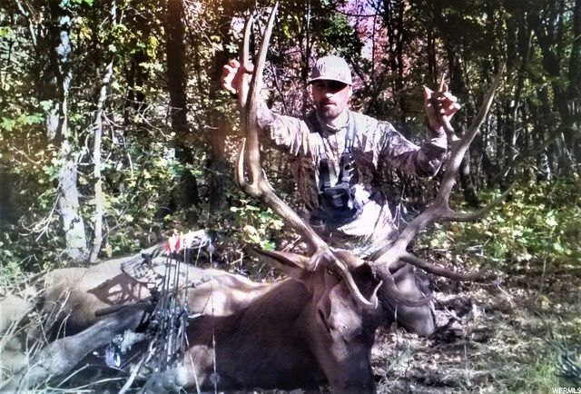 1354 STAUFFER CANYON RD, Montpelier, ID 83254