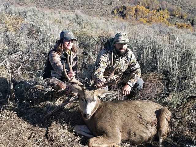 1354 STAUFFER CANYON RD, Montpelier, ID 83254