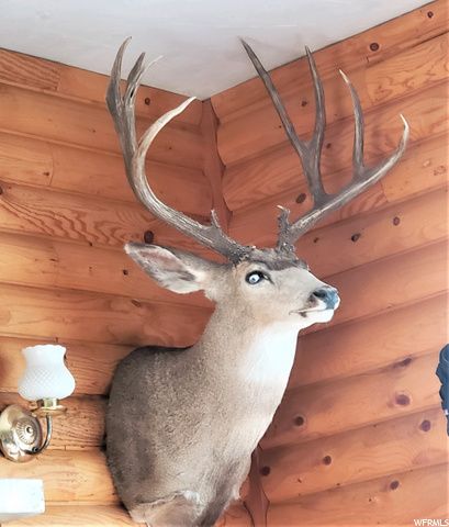 1354 STAUFFER CANYON RD, Montpelier, ID 83254