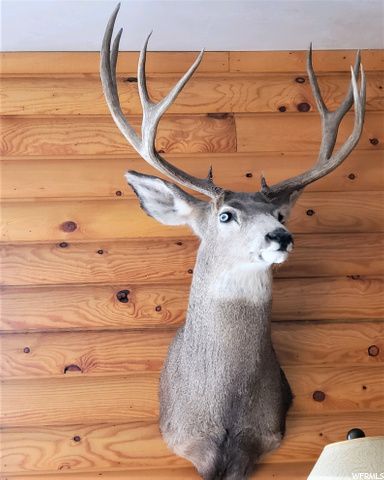 1354 STAUFFER CANYON RD, Montpelier, ID 83254