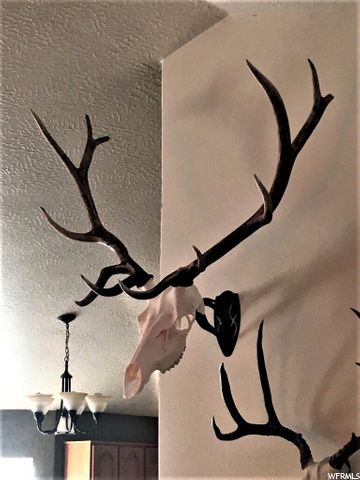 1354 STAUFFER CANYON RD, Montpelier, ID 83254