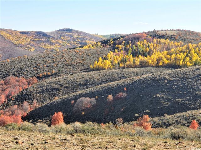 1354 STAUFFER CANYON RD, Montpelier, ID 83254