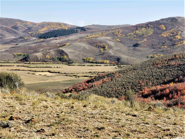 1354 STAUFFER CANYON RD, Montpelier, ID 83254