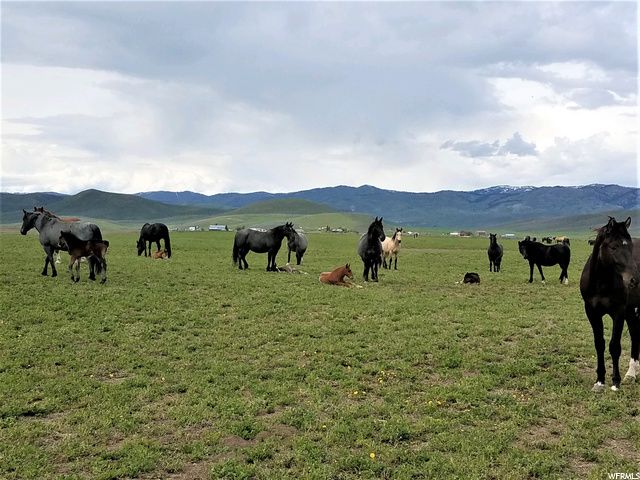 1354 STAUFFER CANYON RD, Montpelier, ID 83254