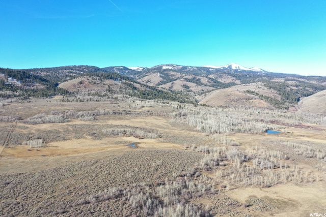 1354 STAUFFER CANYON RD, Montpelier, ID 83254