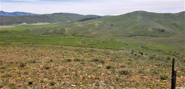 1354 STAUFFER CANYON RD, Montpelier, ID 83254