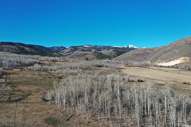 1354 STAUFFER CANYON RD, Montpelier, ID 83254