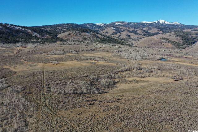 1354 STAUFFER CANYON RD, Montpelier, ID 83254