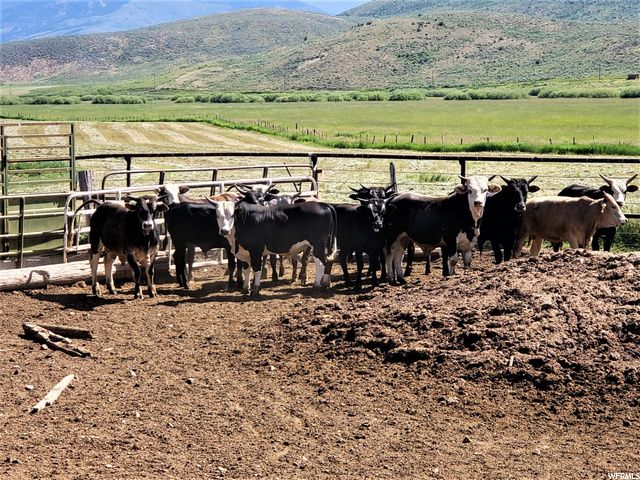 1354 STAUFFER CANYON RD, Montpelier, ID 83254