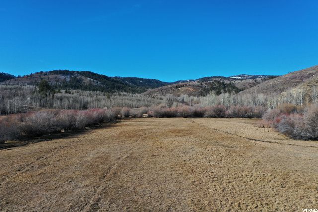 1354 STAUFFER CANYON RD, Montpelier, ID 83254