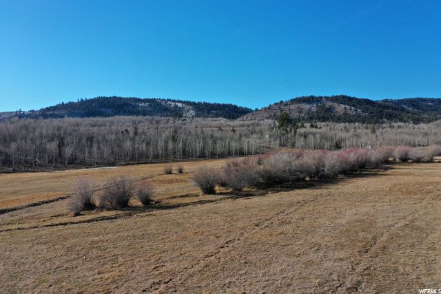 1354 STAUFFER CANYON RD, Montpelier, ID 83254