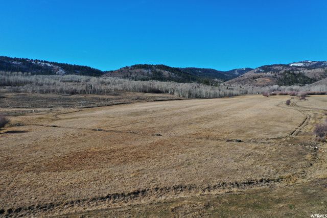 1354 STAUFFER CANYON RD, Montpelier, ID 83254