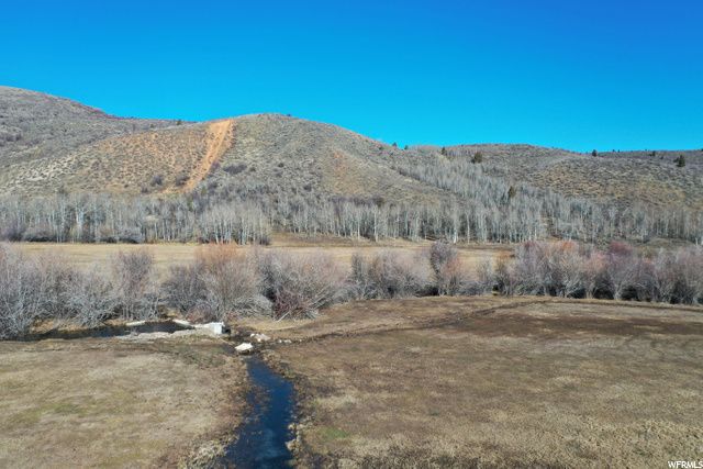 1354 STAUFFER CANYON RD, Montpelier, ID 83254