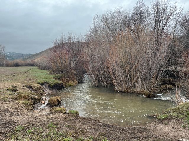 1354 STAUFFER CANYON RD, Montpelier, ID 83254