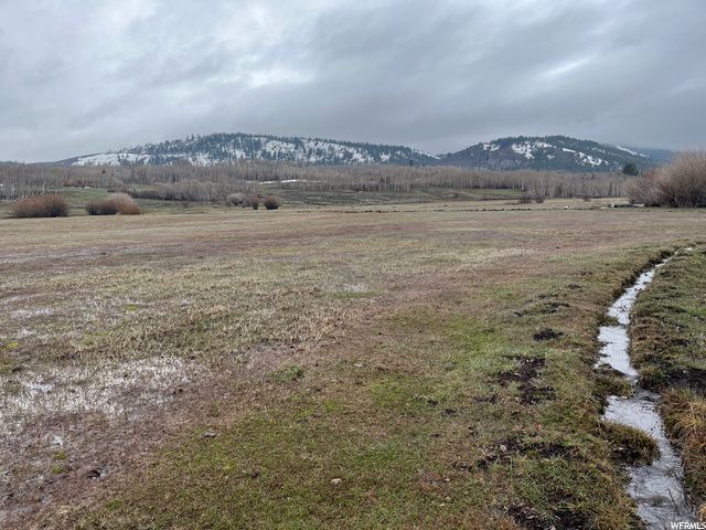 1354 STAUFFER CANYON RD, Montpelier, ID 83254