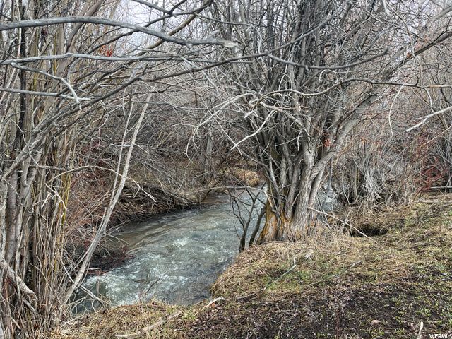 1354 STAUFFER CANYON RD, Montpelier, ID 83254