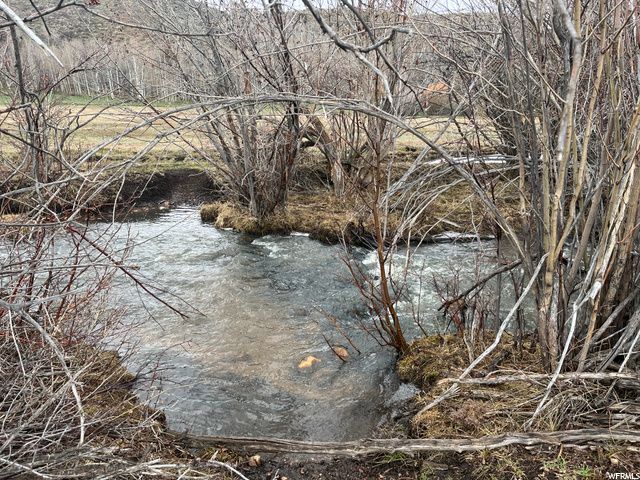 1354 STAUFFER CANYON RD, Montpelier, ID 83254