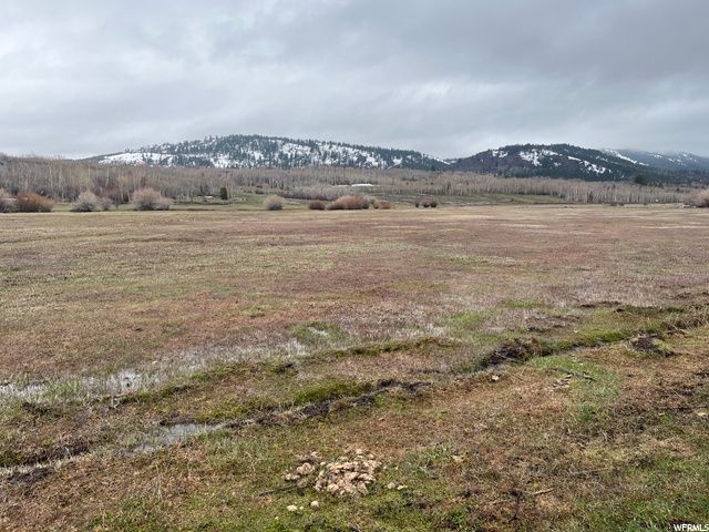 1354 STAUFFER CANYON RD, Montpelier, ID 83254