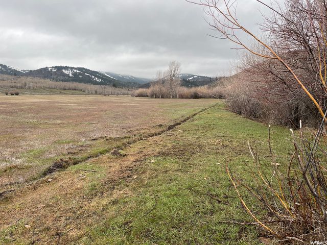 1354 STAUFFER CANYON RD, Montpelier, ID 83254