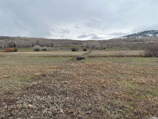 1354 STAUFFER CANYON RD, Montpelier, ID 83254