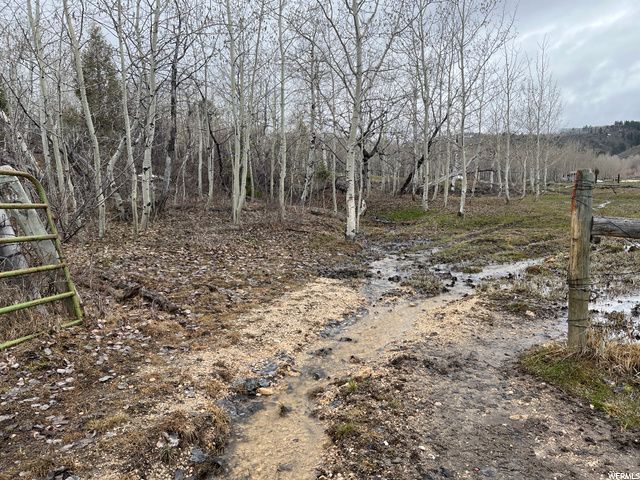 1354 STAUFFER CANYON RD, Montpelier, ID 83254