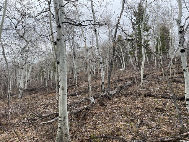 1354 STAUFFER CANYON RD, Montpelier, ID 83254