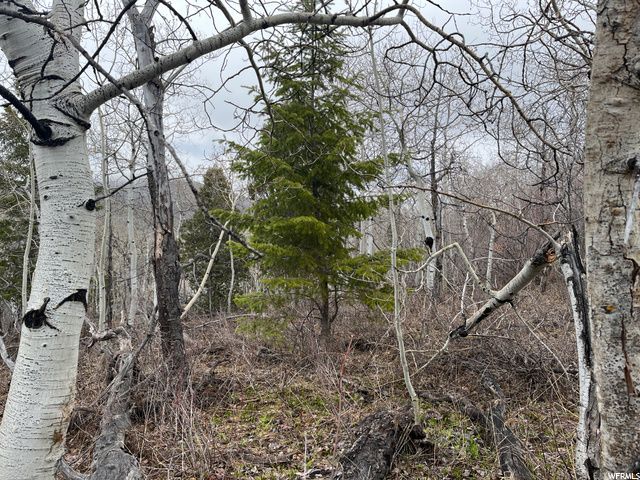 1354 STAUFFER CANYON RD, Montpelier, ID 83254