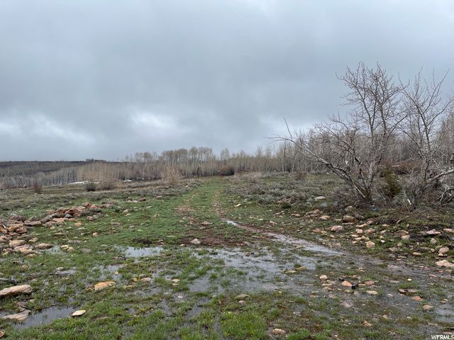 1354 STAUFFER CANYON RD, Montpelier, ID 83254