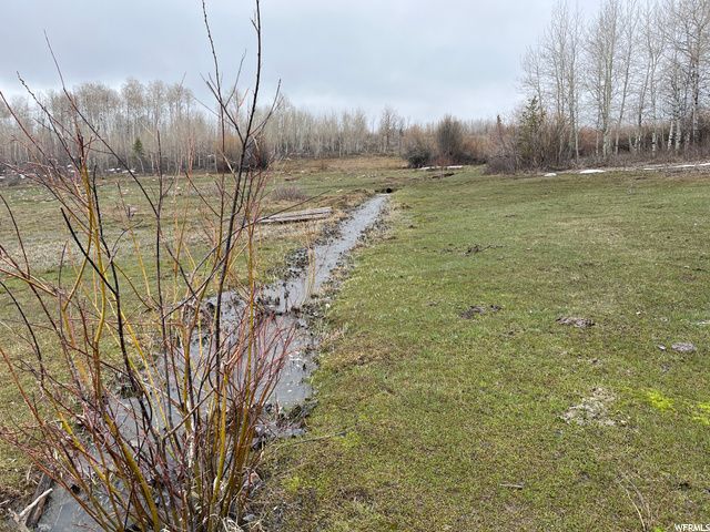 1354 STAUFFER CANYON RD, Montpelier, ID 83254