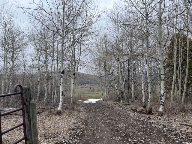1354 STAUFFER CANYON RD, Montpelier, ID 83254