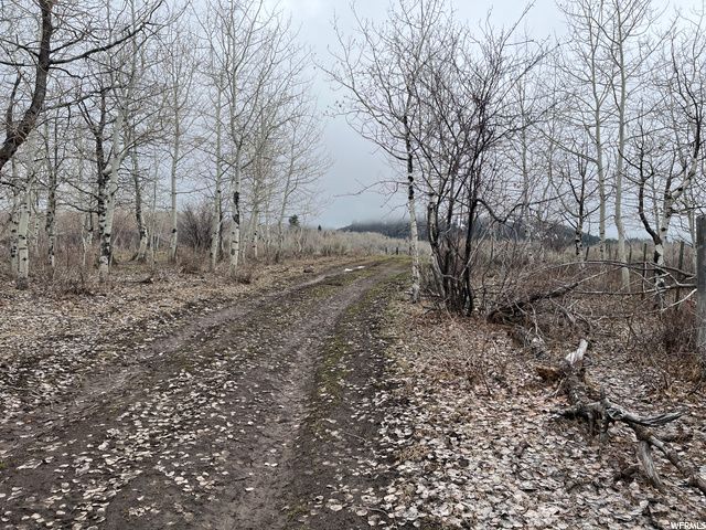 1354 STAUFFER CANYON RD, Montpelier, ID 83254