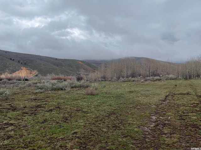 1354 STAUFFER CANYON RD, Montpelier, ID 83254