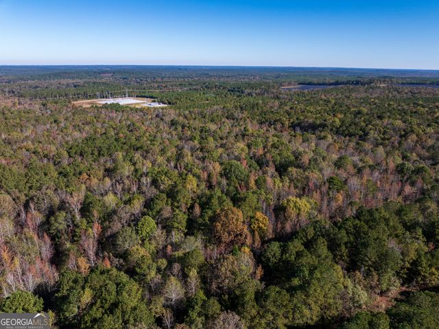 69.98 ACRES Saxon Mattox Road, Carlton, GA 30627