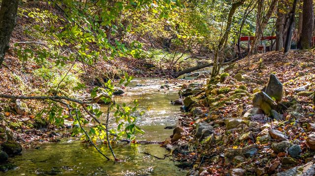 212 Dogpatch Lane, Blue Ridge, GA 30513