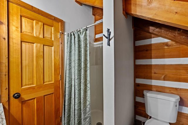 212 Dogpatch Lane, Blue Ridge, GA 30513